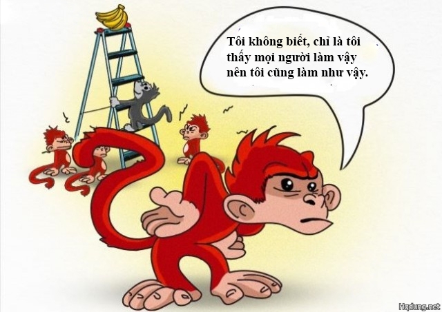 Con khỉ và quả chuối